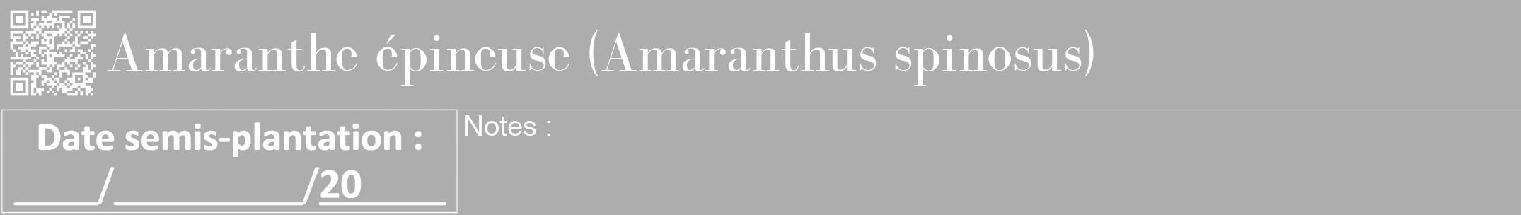 Étiquette de : Amaranthus spinosus - format a - style blanche22bod avec qrcode et comestibilité