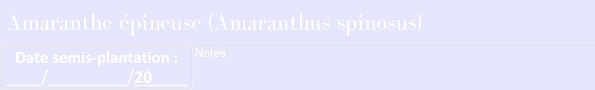 Étiquette de : Amaranthus spinosus - format a - style blanche55bod avec comestibilité
