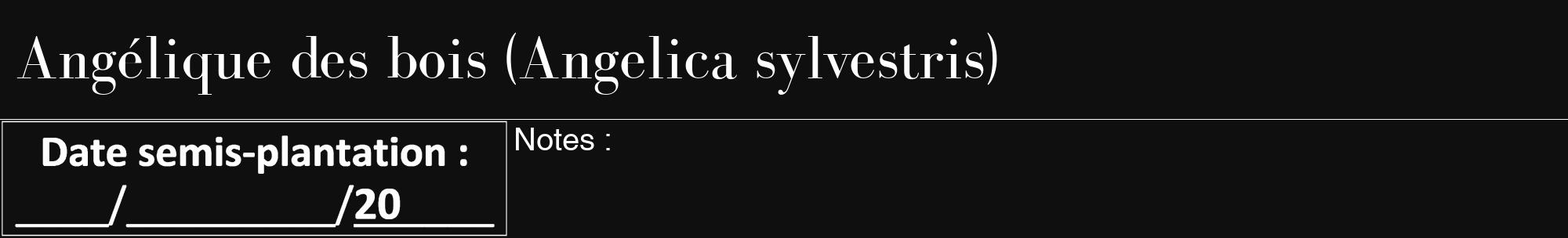 Étiquette de : Angelica sylvestris - format a - style blanche7bod avec comestibilité