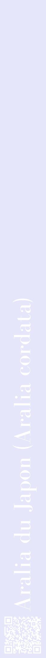 Étiquette de : Aralia cordata - format a - style blanche55bod avec qrcode et comestibilité