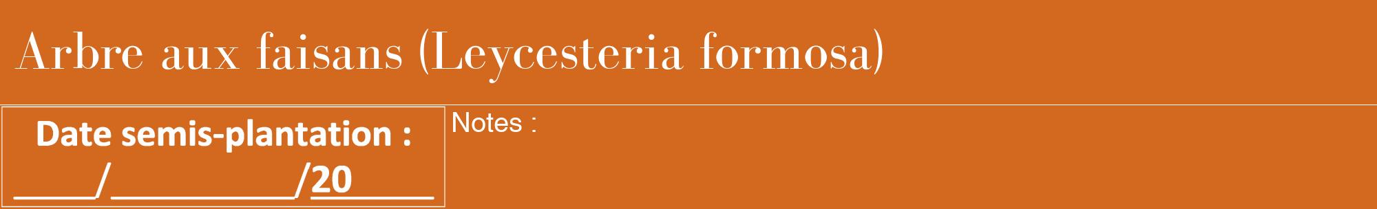 Étiquette de : Leycesteria formosa - format a - style blanche31bod avec comestibilité