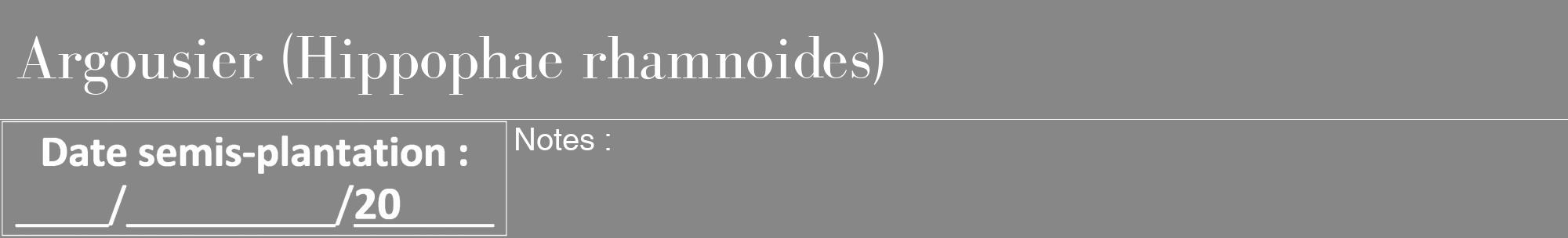 Étiquette de : Hippophae rhamnoides - format a - style blanche12bod avec comestibilité