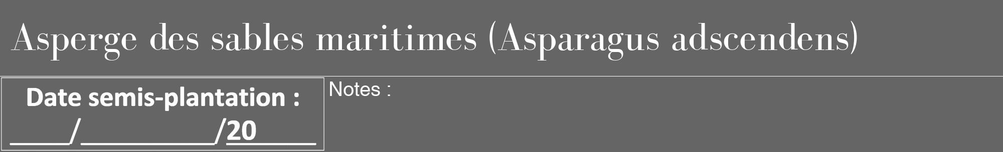 Étiquette de : Asparagus adscendens - format a - style blanche32bod avec comestibilité