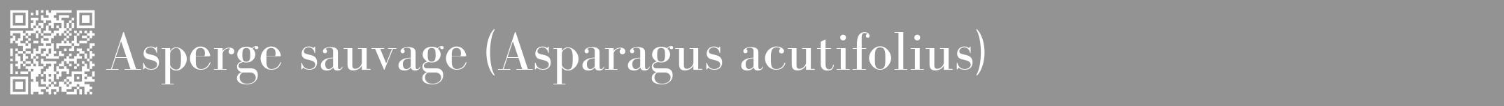 Étiquette de : Asparagus acutifolius - format a - style blanche44bod avec qrcode et comestibilité