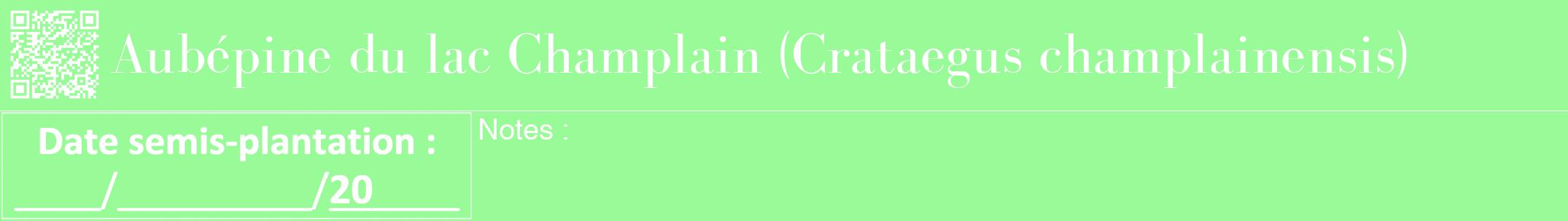 Étiquette de : Crataegus champlainensis - format a - style blanche14bod avec qrcode et comestibilité