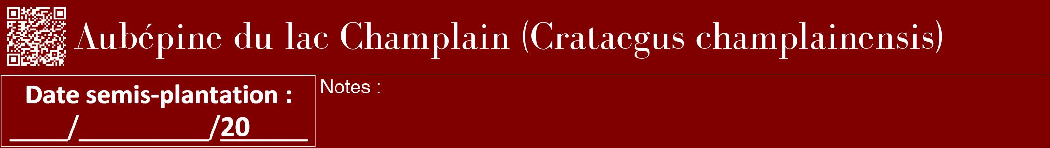 Étiquette de : Crataegus champlainensis - format a - style blanche29bod avec qrcode et comestibilité