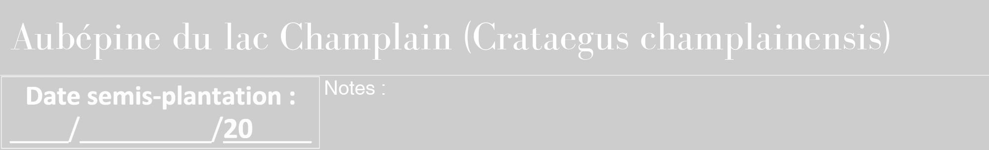 Étiquette de : Crataegus champlainensis - format a - style blanche41bod avec comestibilité