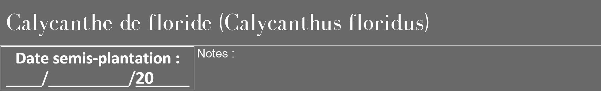 Étiquette de : Calycanthus floridus - format a - style blanche51bod avec comestibilité