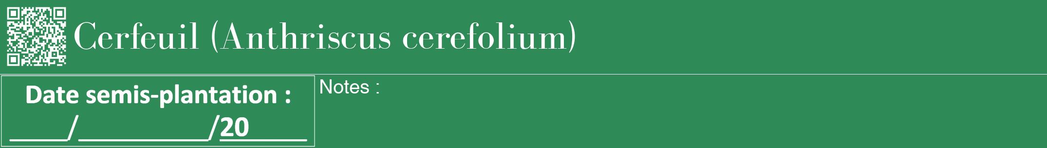 Étiquette de : Anthriscus cerefolium - format a - style blanche11bod avec qrcode et comestibilité