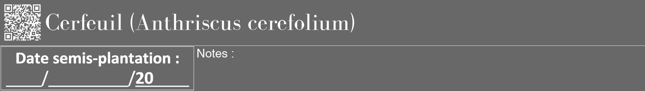 Étiquette de : Anthriscus cerefolium - format a - style blanche6bod avec qrcode et comestibilité