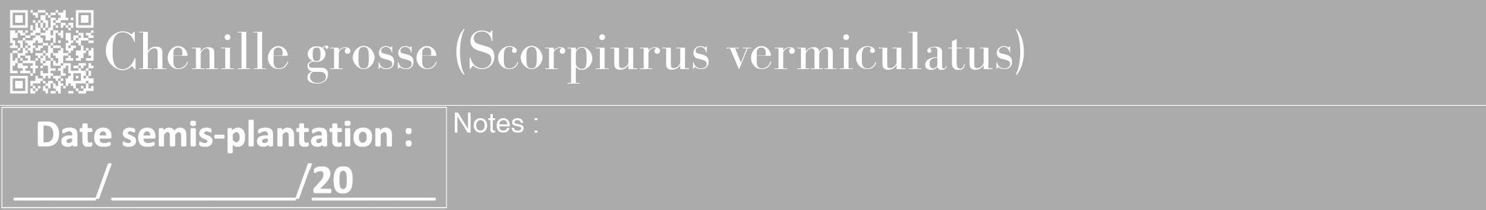Étiquette de : Scorpiurus vermiculatus - format a - style blanche37bod avec qrcode et comestibilité