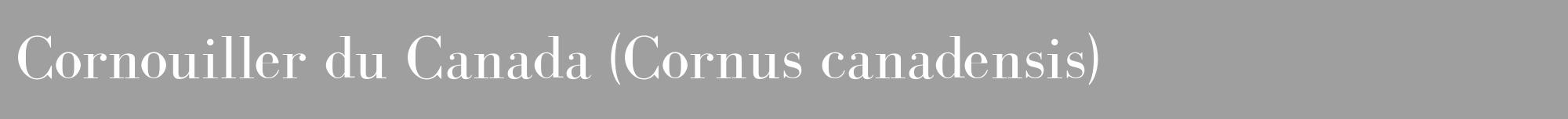 Étiquette de : Cornus canadensis - format a - style blanche24bod avec comestibilité