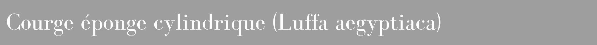 Étiquette de : Luffa aegyptiaca - format a - style blanche42bod avec comestibilité