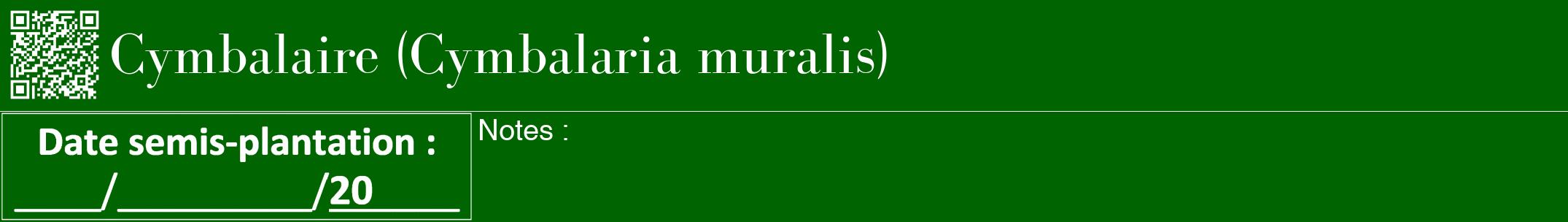 Étiquette de : Cymbalaria muralis - format a - style blanche8bod avec qrcode et comestibilité