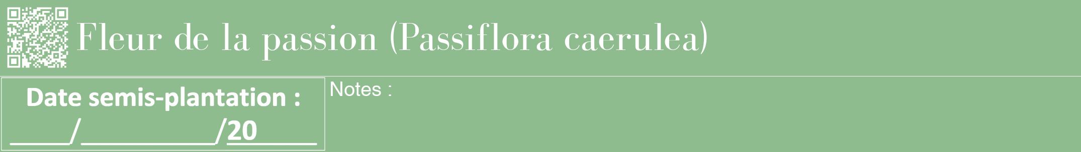 Étiquette de : Passiflora caerulea - format a - style blanche13bod avec qrcode et comestibilité