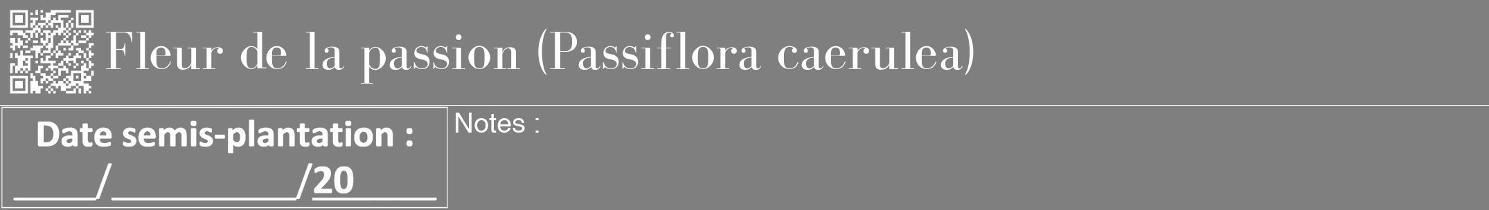 Étiquette de : Passiflora caerulea - format a - style blanche31bod avec qrcode et comestibilité