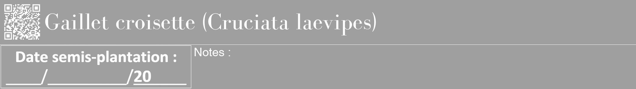 Étiquette de : Cruciata laevipes - format a - style blanche24bod avec qrcode et comestibilité