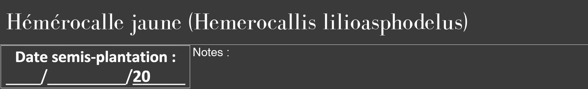 Étiquette de : Hemerocallis lilioasphodelus - format a - style blanche8bod avec comestibilité