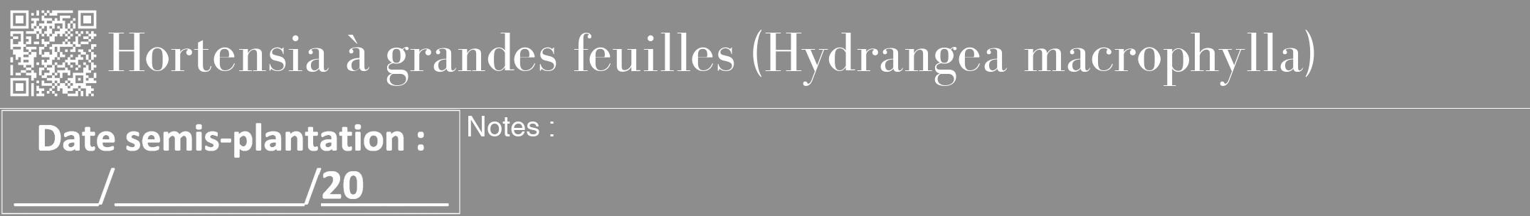 Étiquette de : Hydrangea macrophylla - format a - style blanche2bod avec qrcode et comestibilité