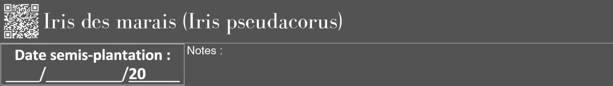 Étiquette de : Iris pseudacorus - format a - style blanche36bod avec qrcode et comestibilité