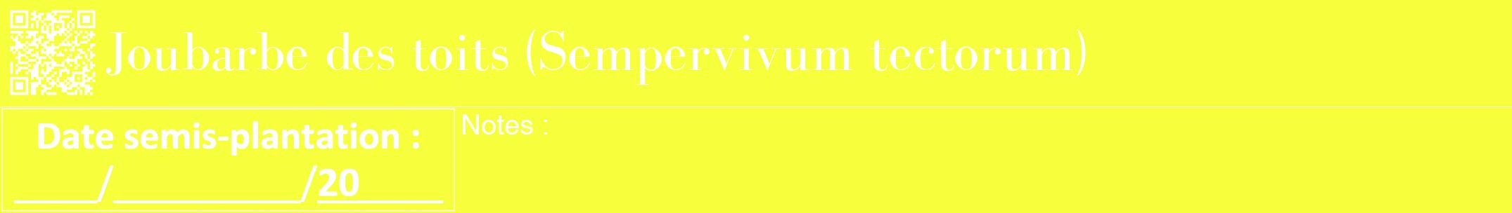 Étiquette de : Sempervivum tectorum - format a - style blanche18bod avec qrcode et comestibilité