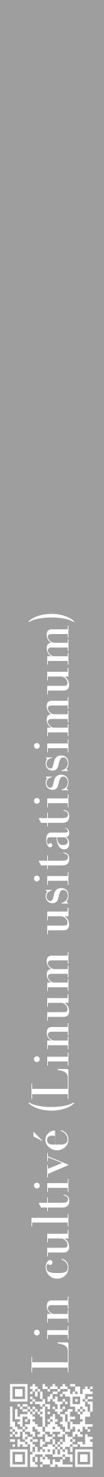 Étiquette de : Linum usitatissimum - format a - style blanche23bod avec qrcode et comestibilité - position verticale