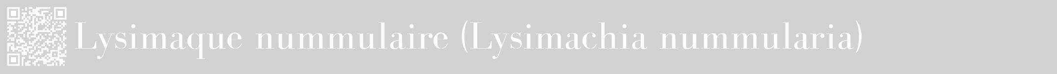 Étiquette de : Lysimachia nummularia - format a - style blanche14bod avec qrcode et comestibilité