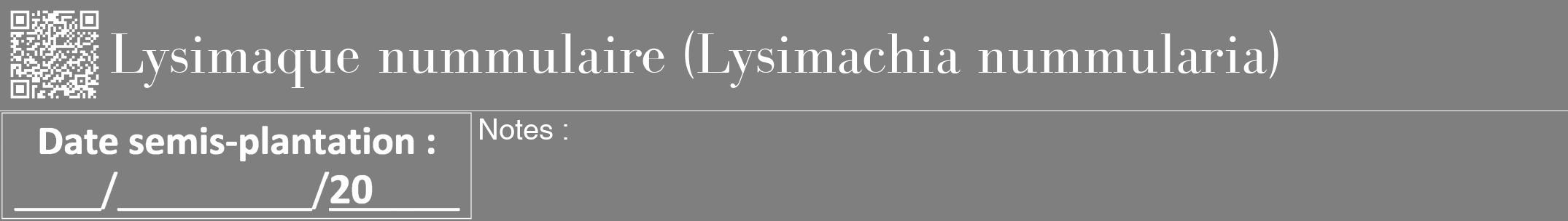 Étiquette de : Lysimachia nummularia - format a - style blanche31bod avec qrcode et comestibilité