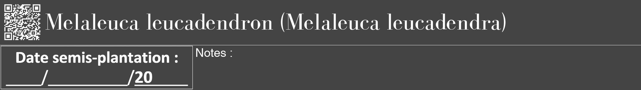 Étiquette de : Melaleuca leucadendra - format a - style blanche48bod avec qrcode et comestibilité