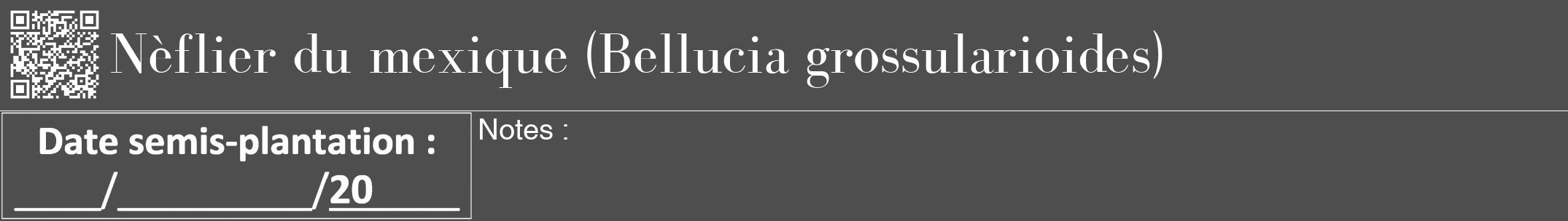 Étiquette de : Bellucia grossularioides - format a - style blanche33bod avec qrcode et comestibilité