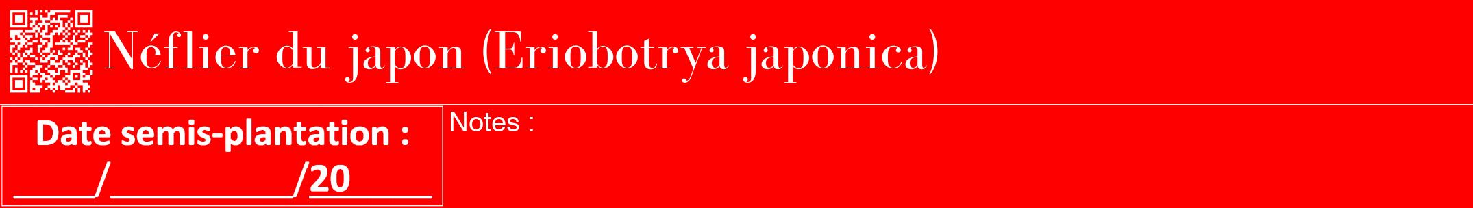 Étiquette de : Eriobotrya japonica - format a - style blanche27bod avec qrcode et comestibilité