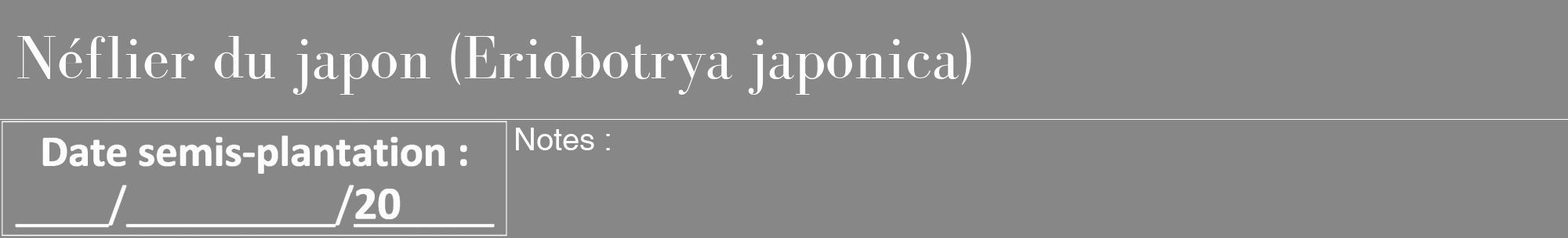 Étiquette de : Eriobotrya japonica - format a - style blanche12bod avec comestibilité