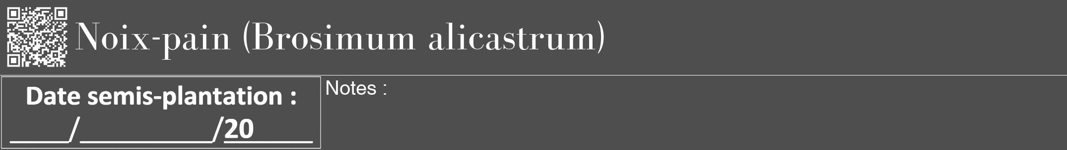 Étiquette de : Brosimum alicastrum - format a - style blanche33bod avec qrcode et comestibilité