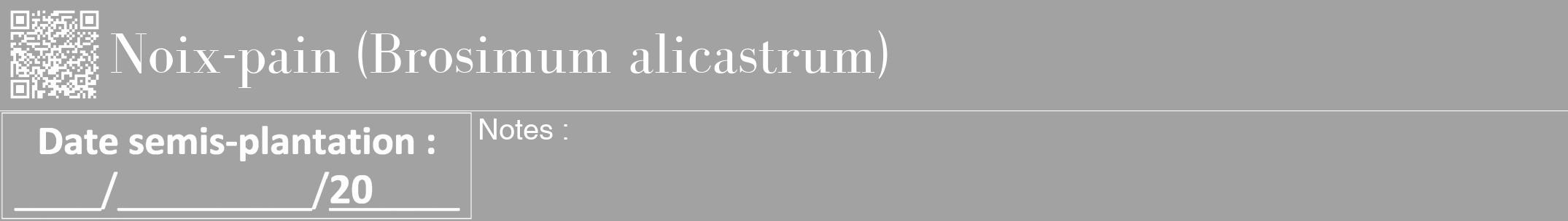 Étiquette de : Brosimum alicastrum - format a - style blanche38bod avec qrcode et comestibilité