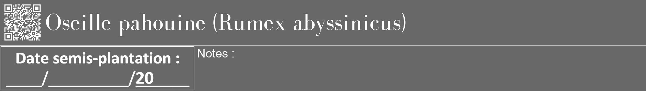 Étiquette de : Rumex abyssinicus - format a - style blanche6bod avec qrcode et comestibilité