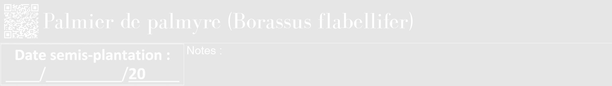 Étiquette de : Borassus flabellifer - format a - style blanche18bod avec qrcode et comestibilité