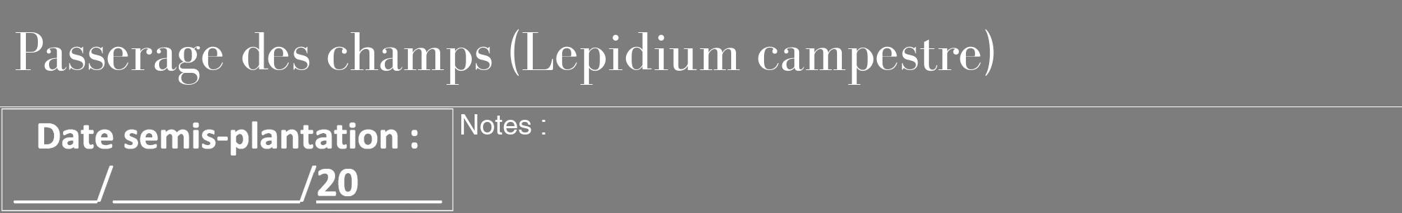 Étiquette de : Lepidium campestre - format a - style blanche35bod avec comestibilité