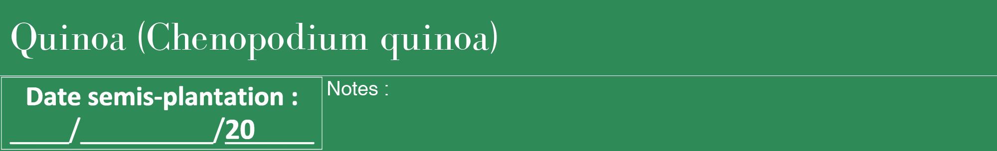 Étiquette de : Chenopodium quinoa - format a - style blanche11bod avec comestibilité