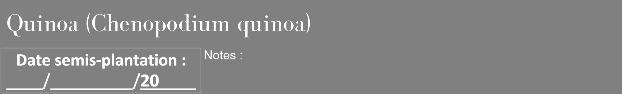 Étiquette de : Chenopodium quinoa - format a - style blanche57bod avec comestibilité