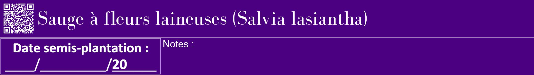 Étiquette de : Salvia lasiantha - format a - style blanche47bod avec qrcode et comestibilité