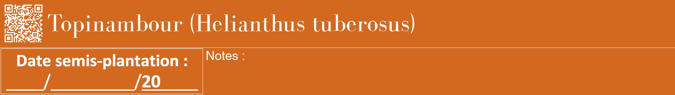 Étiquette de : Helianthus tuberosus - format a - style blanche31bod avec qrcode et comestibilité