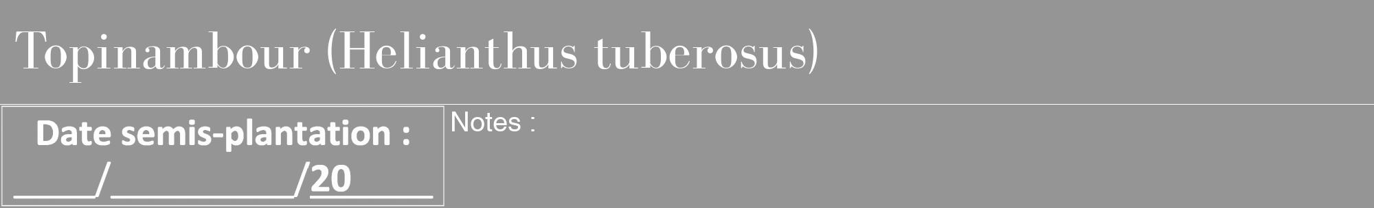 Étiquette de : Helianthus tuberosus - format a - style blanche16bod avec comestibilité