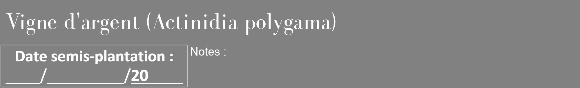Étiquette de : Actinidia polygama - format a - style blanche50bod avec comestibilité