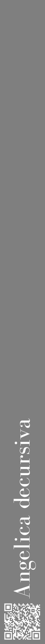 Étiquette de : Angelica decursiva - format a - style blanche31bod avec qrcode et comestibilité - position verticale
