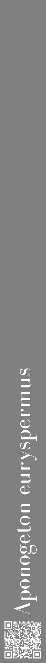 Étiquette de : Aponogeton euryspermus - format a - style blanche57bod avec qrcode et comestibilité