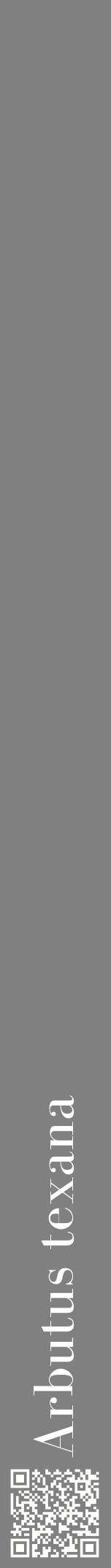 Étiquette de : Arbutus texana - format a - style blanche57bod avec qrcode et comestibilité