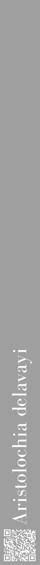 Étiquette de : Aristolochia delavayi - format a - style blanche24bod avec qrcode et comestibilité - position verticale