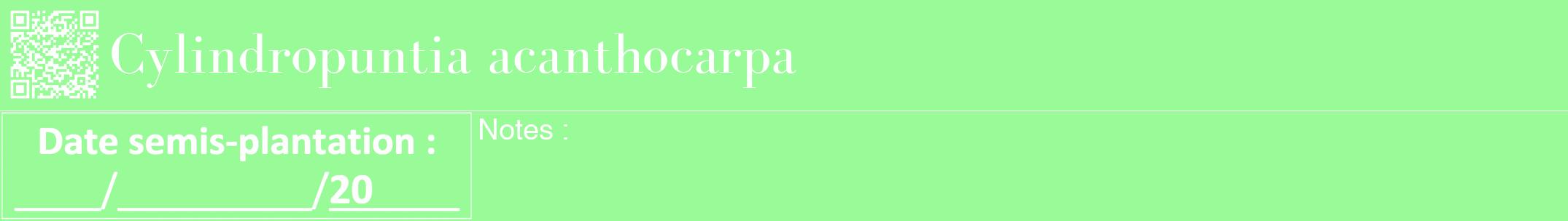 Étiquette de : Cylindropuntia acanthocarpa - format a - style blanche14bod avec qrcode et comestibilité