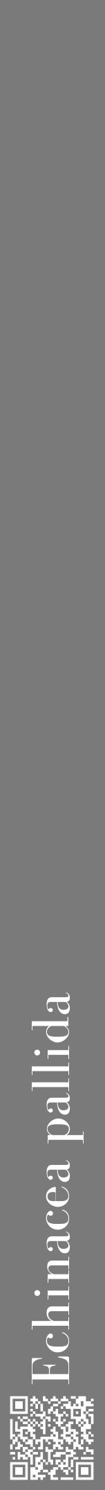 Étiquette de : Echinacea pallida - format a - style blanche3bod avec qrcode et comestibilité - position verticale