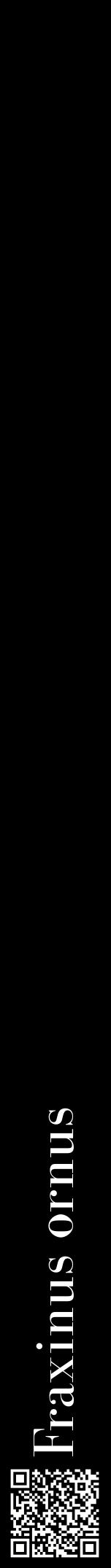 Étiquette de : Fraxinus ornus - format a - style blanche59bod avec qrcode et comestibilité